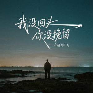 我没回头你没挽留
