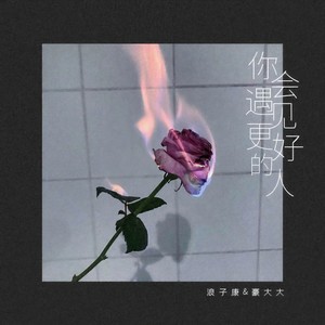 心安理得 (DJ弹鼓版)封面