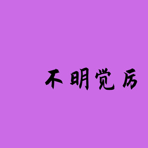 不明觉厉(dj)