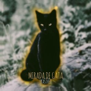 MIRADA DE GATA