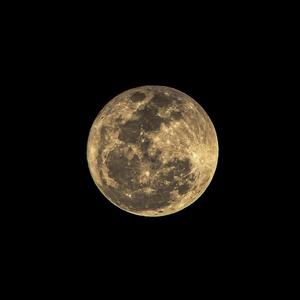cómo le digo a la luna (feat. 4lexf & jang0 beats)