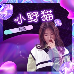 小野猫