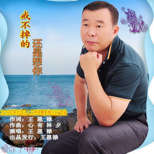 戒不掉的还是想你 (男伴奏)