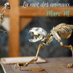 la nuit des animaux