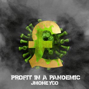 Profit In A Pandemic