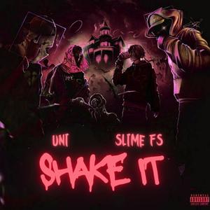 Shake It (feat. Slime FS) [Explicit]