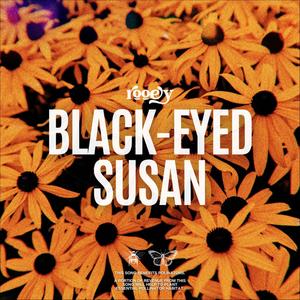 Black-Eyed Susan