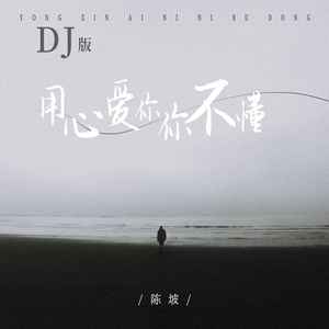 用心爱你你不懂 (DJ版伴奏)