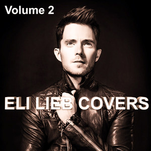 Firework-Eli Lieb