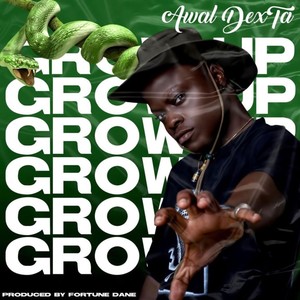 Grow Up (Explicit)