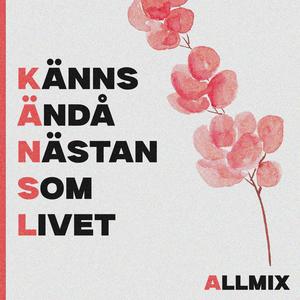 Känns ändå nästan som livet