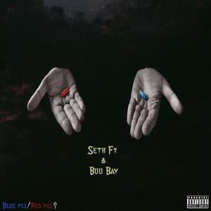 Blue Pill Red Pill (feat. Seth Fx) (Explicit)