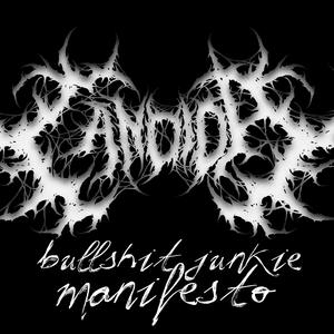 bullshit junkie manifesto (Explicit)