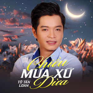 Chiều Mưa Xứ Dừa