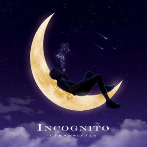 Incognito (Explicit)