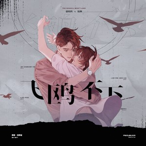 飞鸥不下 (COVER版)