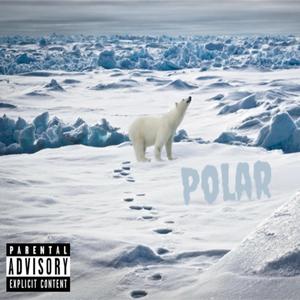 POLAR (Explicit)