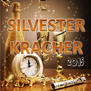 Hier sind wir zu Haus (Winter Party Mix)