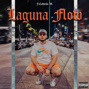 Laguna Flow (Explicit)