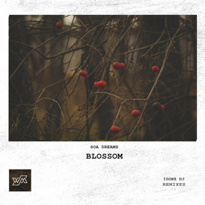 Blossom (IGONZ DJ Remix)