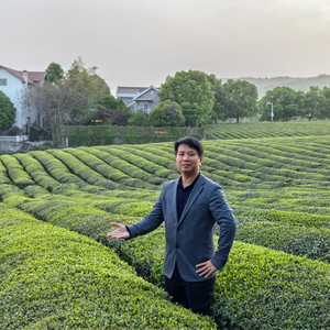 红尘岁月中封面