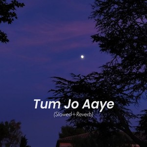 Tum Jo Aaye (Slowed and Reverb)