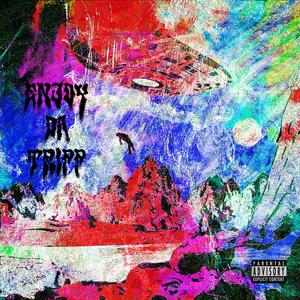 Enjoy Da Tripp (Explicit)