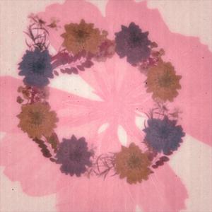 apologize to me (Explicit)