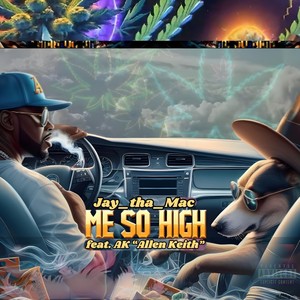 Me So High (feat. Ak "Allen Keith") [Explicit]