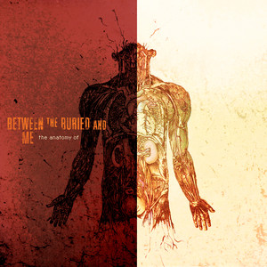 Between The Buried And Me - Bicycle Race