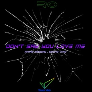 Don't Say That You Love Me(feat. Young Vivid)