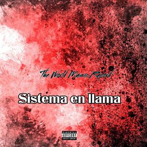 Sistema En Llama