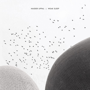 Weak Sleep (Thomas Stieler 'Birds in Space' Remix)