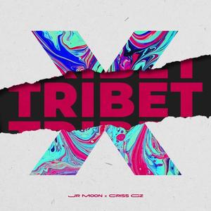 Tribet X (feat. Jr Moon)