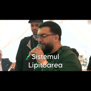 Sistemul Lipitoarea