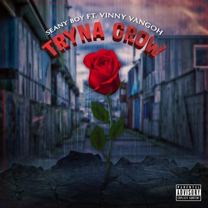 Tryna Grow(feat. Vinny Vangoh) (Explicit)