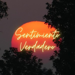 Sentimiento Verdadero(feat. Seven 7rees)