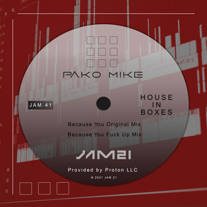 Because You (Fuck Up Mix)