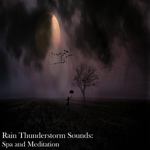 Rain Sound: Gentle Rain