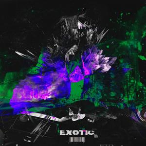 Exotic (Explicit)