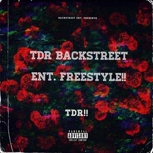 TDR Freestyle (feat. A.P.N.P Ponk & TDR Yaro) [Explicit]