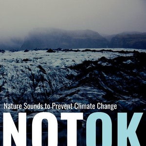 Not OK: Nature Sounds to Prevent Climate Change