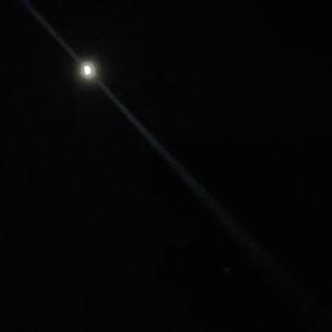 wïldëstdrëam! (Explicit)