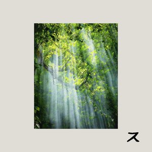 Where The Light Falls