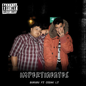 Impertinentes (feat. Codak LT) (Explicit)