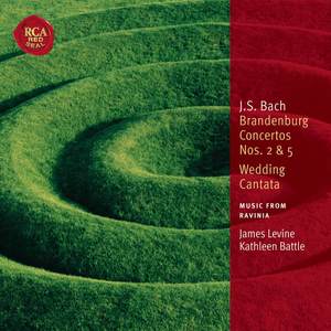 Brandenburg Concerto No. 5 in D Major, BWV 1050 - I. Allegro (D大调第5号勃兰登堡协奏曲，作品1050)