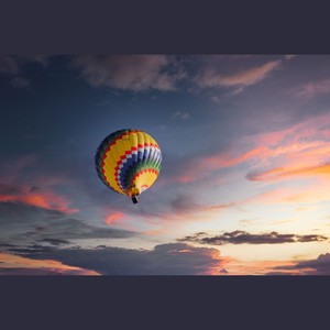 与你同行花路长