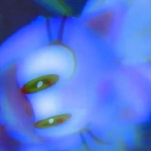 hit da scene (feat. kaystrueno) (Explicit)