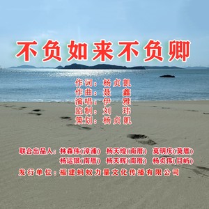 伊雅 - 不负如来不负卿 (伴奏)