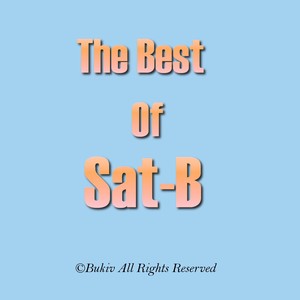 The Best of Sat-B (Explicit)